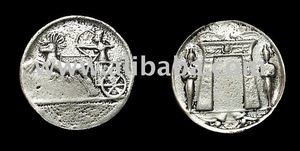 แกะอียิปต์ - Product Image 1