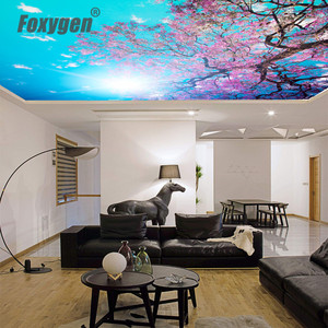 Trang Trí Nội Thất Led Hệ Thống Ánh Sáng Bức Tường Và Trần Nhà Bao Gồm 3d Kỹ Thuật Số In Pvc Phim Trần Căng - Product Image 5