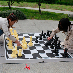 Bộ Cờ Vua Du Lịch Bằng Nhựa Khổng Lồ Giải Đấu Quân Cờ Và Rắn Và Thang Bằng Nhựa Lớn - Product Image 3