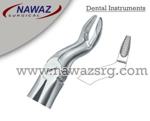 Forceps d'extraction de dents Fig57 B meilleure qualité logo personnalisé produits Instruments dentaires en acier inoxydable - Product Image 2