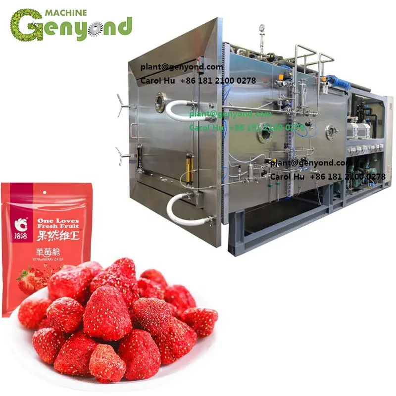 vacuum freeze dried drying dryer machine food fruit honey powder instant coffee durian strawberry flowers roses