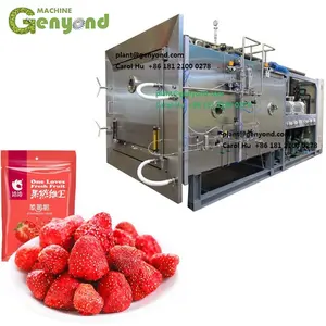 vacuum freeze dried food dragon fruit honey powder instant coffee durian strawberry raspberry flowers roses vegetable machine