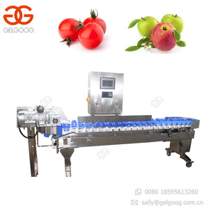 Machine professionnelle de calibrage automatique, convoyeur pour la viande, les cerises - Product Image 3