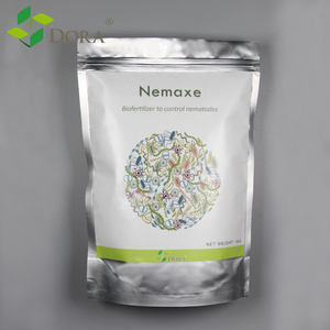 Engrais Microbe avec Paecilomyces lilacinus pour Contrôle <span class=keywords><strong>Nématodes</strong></span> - Product Image 1