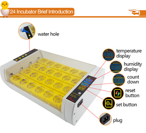 Incubateur à œufs de poulet YZ-24A <span class=keywords><strong>HHD</strong></span> Factory <span class=keywords><strong>Mini</strong></span> <span class=keywords><strong>24</strong></span> œufs - Product Image 4