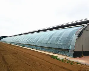 Pas cher tunnel serre tunnel végétal serre pour légumes/tomate/concombre/laitue