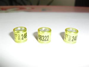 Anillos de palomas <span class=keywords><strong>2023</strong></span> <span class=keywords><strong>oiseaux</strong></span> kabutar anneaux de jambes gravure canari finch anneaux en aluminium bandes jaunes pigeons de course à vendre - Product Image 4
