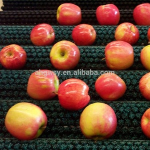 High Quality Nylon Roller <strong>Brush</strong> for Cleaning Fruit and <strong>Vegetable</strong> - Product Image 6