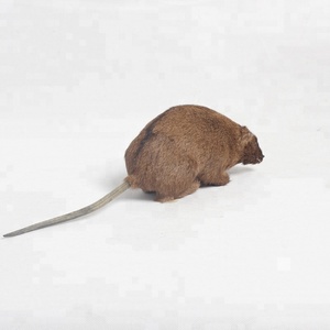 Personnalisé <span class=keywords><strong>Mickey</strong></span> Mouse Ornement Souris dans Santa Chapeau Ornement - Product Image 3