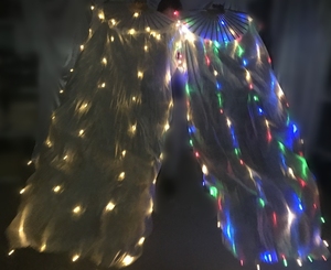 Bestdance danza del ventre <span class=keywords><strong>LED</strong></span> Fan veli Fan del Festival veli con <span class=keywords><strong>luci</strong></span> a <span class=keywords><strong>LED</strong></span> OEM - Product Image 1