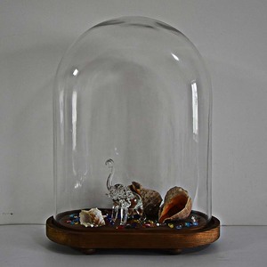Antique Oval Glass Dome On <strong>Wood</strong> Base Classic Home Decor Wall Display