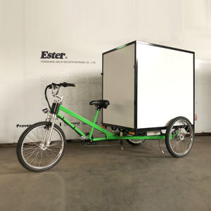 <span class=keywords><strong>Triciclo</strong></span> <span class=keywords><strong>de</strong></span> <span class=keywords><strong>carga</strong></span> asistida con <span class=keywords><strong>Pedal</strong></span> eléctrico cerrado, caja trasera <span class=keywords><strong>de</strong></span> <span class=keywords><strong>triciclo</strong></span> <span class=keywords><strong>de</strong></span> <span class=keywords><strong>carga</strong></span> - Product Image 3