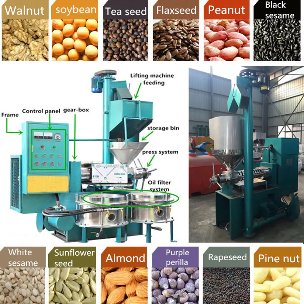 שמן בוטנים מכונה שמן אגוזי אדמה עושה המכונה
