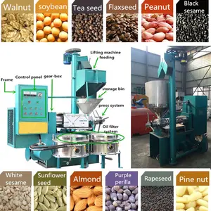 Groundnut Oil Machine Peanut Oil Making Machine