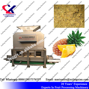 Efficacité Grande Capacité <span class=keywords><strong>Pulpe</strong></span> D'<span class=keywords><strong>ananas</strong></span> Faisant La Machine - Product Image 6