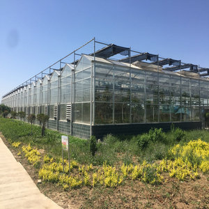 High Quality Transparent uv plastic Polycarbonate Sheet Greenhouses for Agricultural