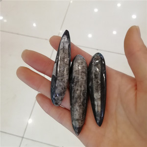 Bán Đá Hóa Thạch Sinoceras Tự Nhiên - Product Image 4