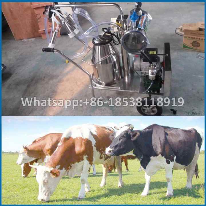 Vacuum Type Cow Milking Machine Price / Milking Machines for Cows  