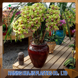 Calidad confiable Contenedor Jardín Jardineras De Plástico <span class=keywords><strong>Maceta</strong></span> de Color <span class=keywords><strong>Turquesa</strong></span> - Product Image 5