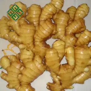 150g Fat Mature Ginger production