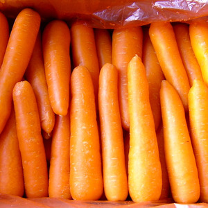 All'ingrosso fresco carota con il prezzo basso - Product Image 3