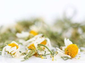 Té de <span class=keywords><strong>Manzanilla</strong></span> Cruda Seca Entera para la Ansiedad y los Calambres, Té de <span class=keywords><strong>Manzanilla</strong></span> al por Mayor - Product Image 3