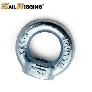 DIN582 Rigging Hardware Lifting C15 M20 DIN582 Galvanised Eye Nut Forged