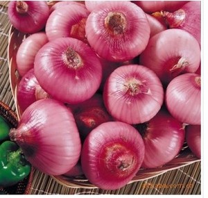 Hot Selling Yummy Bulk Frozen IQF Vegetable Onions From China With Good Price