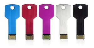 Tùy Chỉnh Key USB Stick Usb Key Trình Điều Khiển Cho Quà Tặng Khuyến Mãi 2GB 4GB 8GB 16GB 32GB 64GB