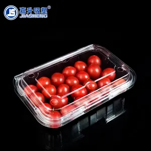 Wegwerp Plastic Transparante Pet Fruit Clamshell Container Met Luchtgaten