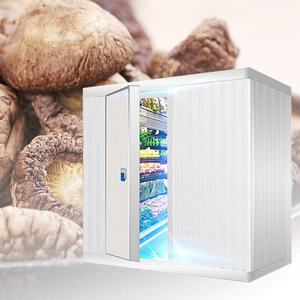 Pommes de terre, 5000t, salle de stockage à froid, température négative, pour tomate - Product Image 6