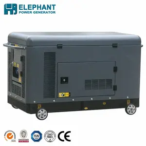 10KVA 2 Cilinder Dieselmotor Generator