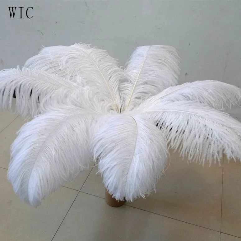 Wedding Decoration Cheap White Ostrich Feathers