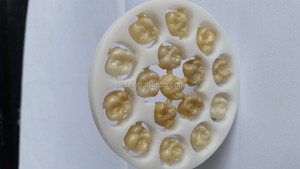 Liquido Colorante Elettrico a 16 Tonalità Certificato CE per Dischi in Zirconia Ceramica Dentale - Product Image 3