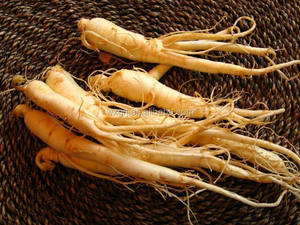 80% estratto di Panax Ginseng UV per uso alimentare Panax estratto di panaxgingengc. A.Mey. in polvere in bottiglia metodo di prova HPLC - Product Image 3