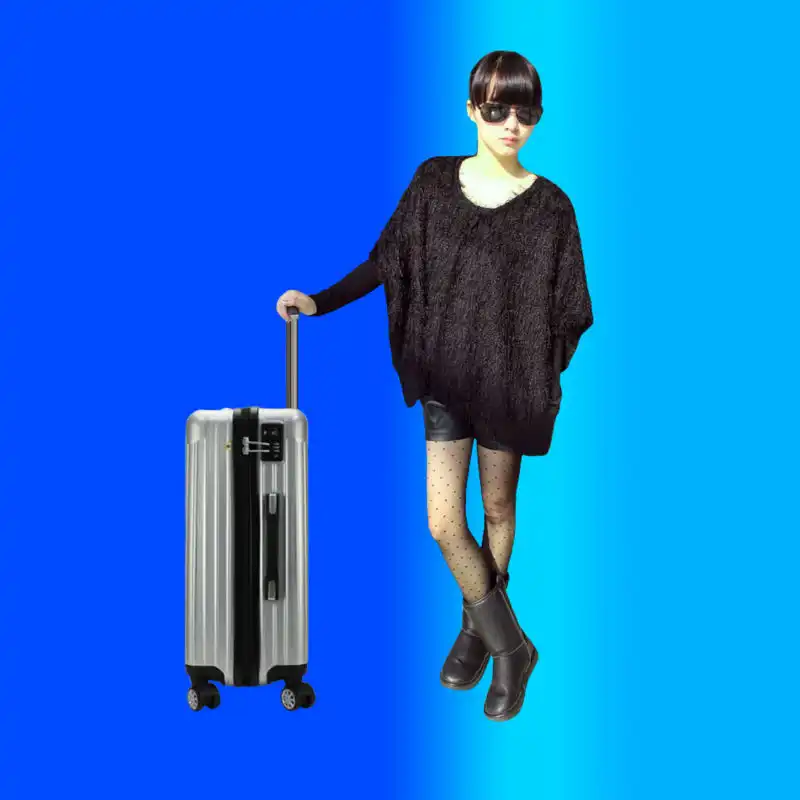 OEM 수하물 가방 여행 가방 maleta travelpro, 중국 OEM 공장 사용자 정의