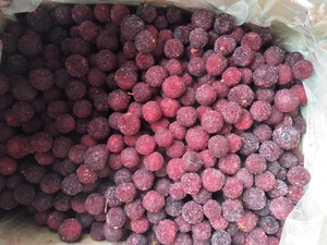 Sinocharm-BRC-A de cultivo qqf waxberry, totalmente congelado, chino, <span class=keywords><strong>yangmei</strong></span>