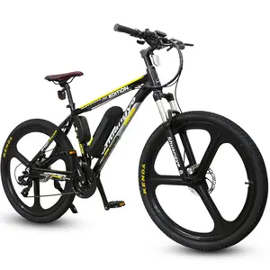 bicicleta electrica with rechargeable 36v 10ah battery and 36v 250w 350w motor