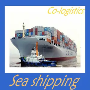 Sea Freight to Belgium--Gina