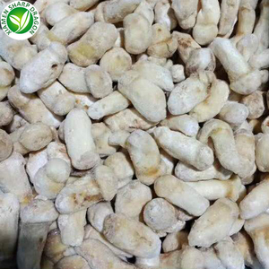 IQF mejor orgánico cultivado crudo hongo congelado <span class=keywords><strong>Tricholoma</strong></span> <span class=keywords><strong>Matsutake</strong></span> - Product Image 2