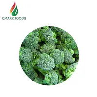 Yeni mahsul taze organik sebzeler dondurulmuş brokoli