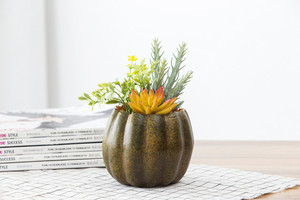 Nuovo disegno a buon mercato all'ingrosso vero tocco bella artificiale piante succulente in vaso di <span class=keywords><strong>zucca</strong></span> per la decorazione - Product Image 3