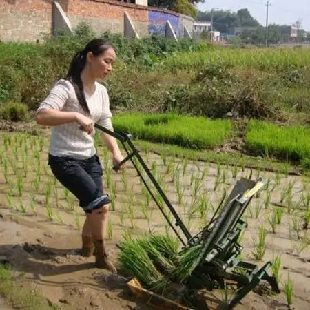 Mini Beras Planter Tangan Push Pembibitan Mesin Beras Transplanter