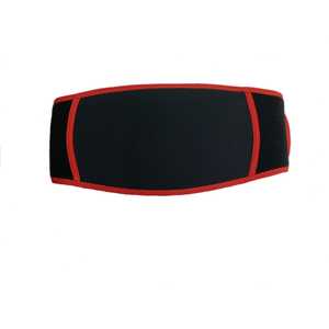Nuovi Prodotti all'Ingrosso da Fornitori Cinesi: Cintura Riscaldante in Grafene per Alleviare il Dolore alla <span class=keywords><strong>Schiena</strong></span> - Product Image 5