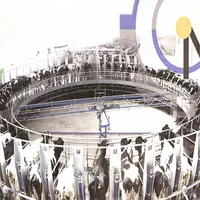 Rotary Milking Parlor for Dairy Farm, Electronic Meter
