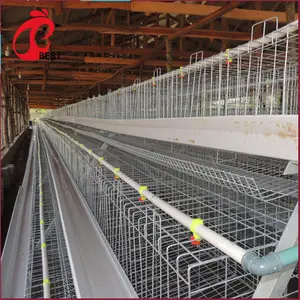 Cage de volaille pliable à piles pour poules, plantes de ferme nigérianes