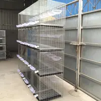 Welded Commercial Pigeon Coop, Factory Wholesale, Hot Sale