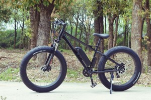 Alta Velocidad neumático bicicleta eléctrica con CE aprobó ciclo elektrokolo elcyklar <span class=keywords><strong>elcykel</strong></span> - Product Image 2