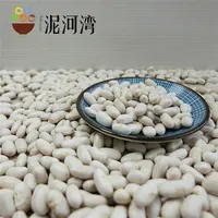 Kidney Bean Kidney Beans High Quality White Kidney Bean Market Price