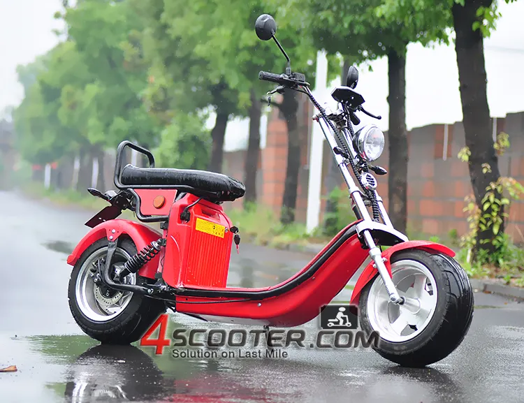 eec/epa dot goedgekeurd gas scooter uitgerust met 2 stoke 50cc motor wzms0524eec/epa
